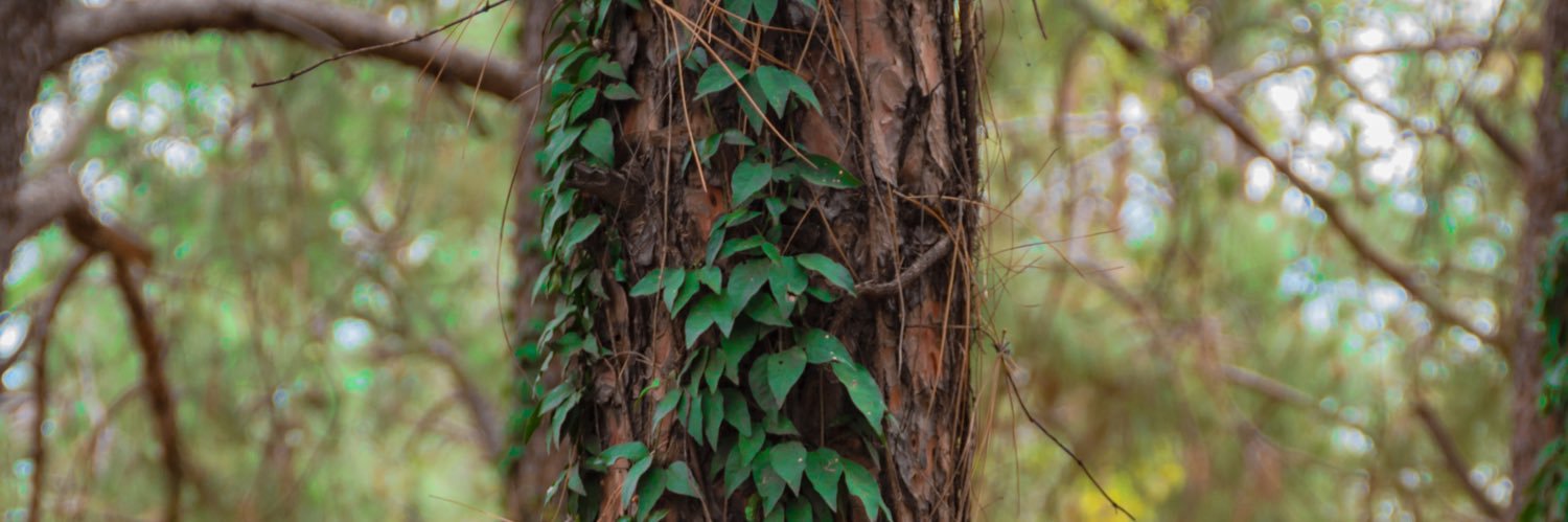 TaylorTkSa's profile banner image