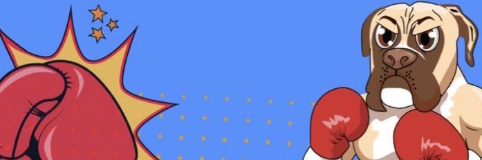SUIBoxer banner