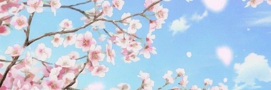 Ɛѕcяα ❀ banner