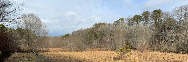 BALandTrust Profile Banner