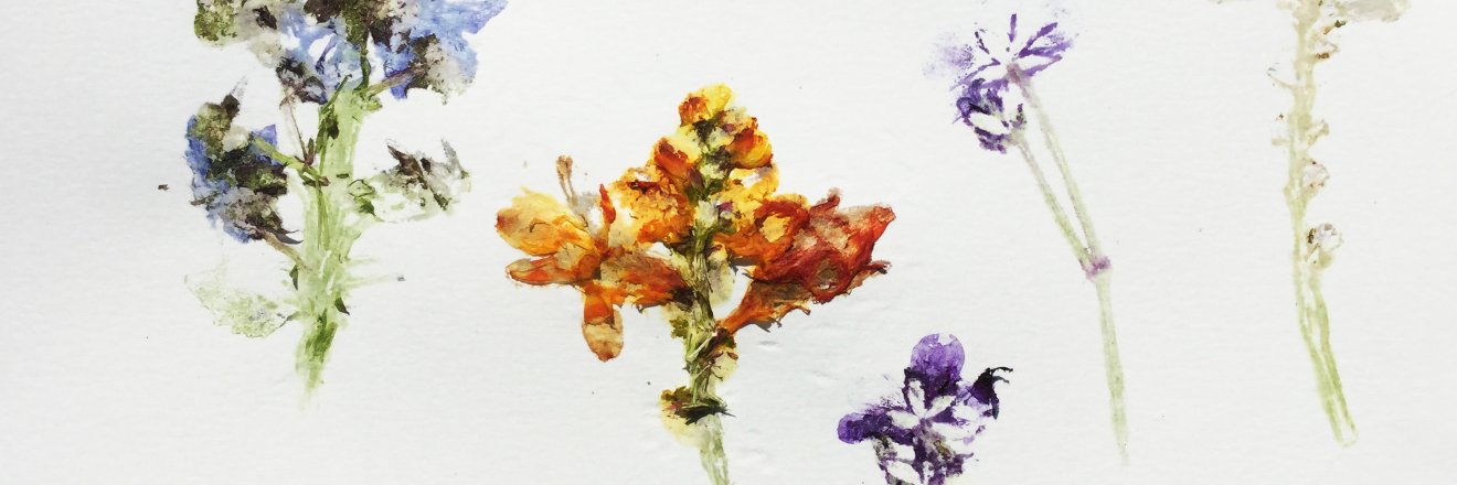 Hannah Bascombe banner