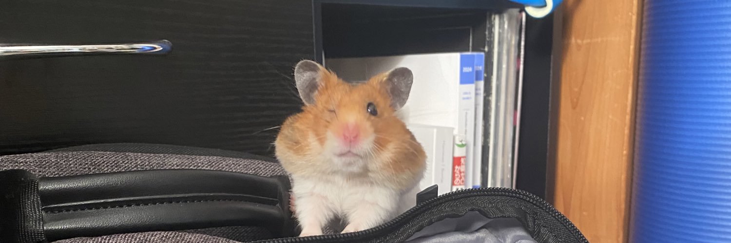 テクノハム banner