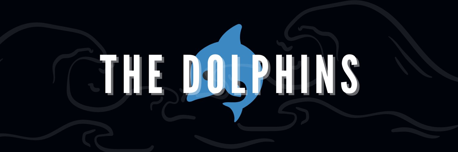 The Dolphins banner