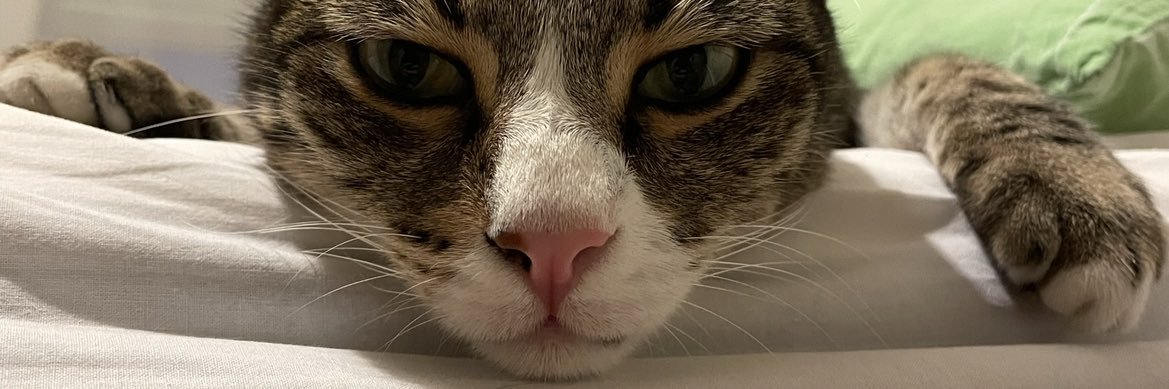 kenanrhm's profile banner image