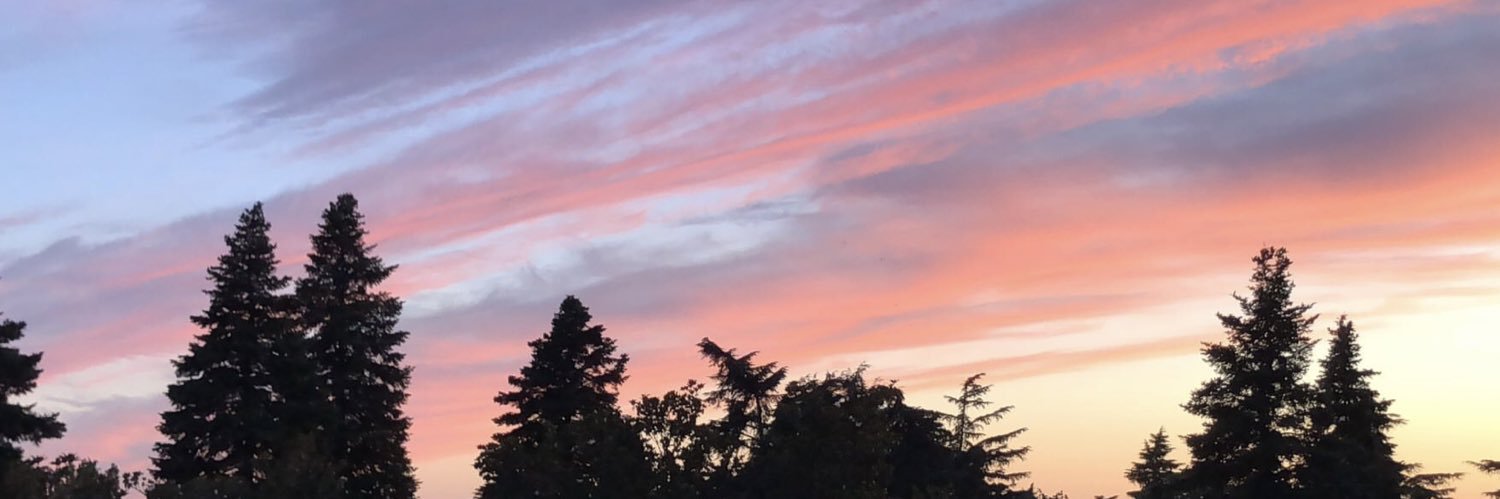 evamaress_'s profile banner image