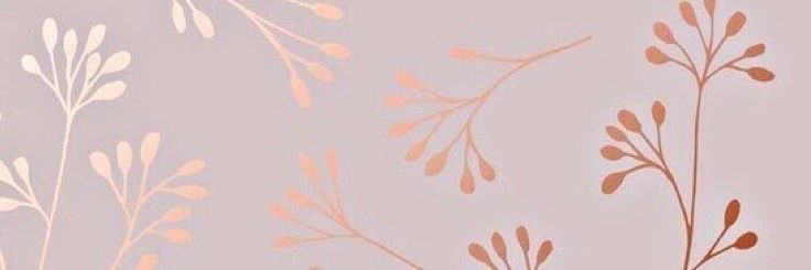 Edie banner