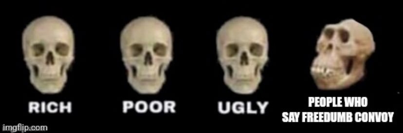 Dennisagainstthelies banner