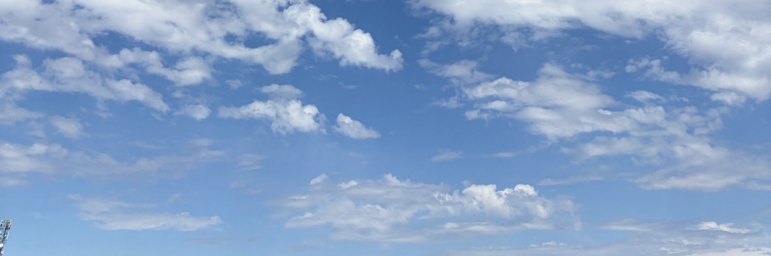 nitinbugsin's profile banner image