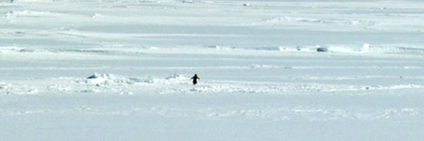 skooookum Profile Banner