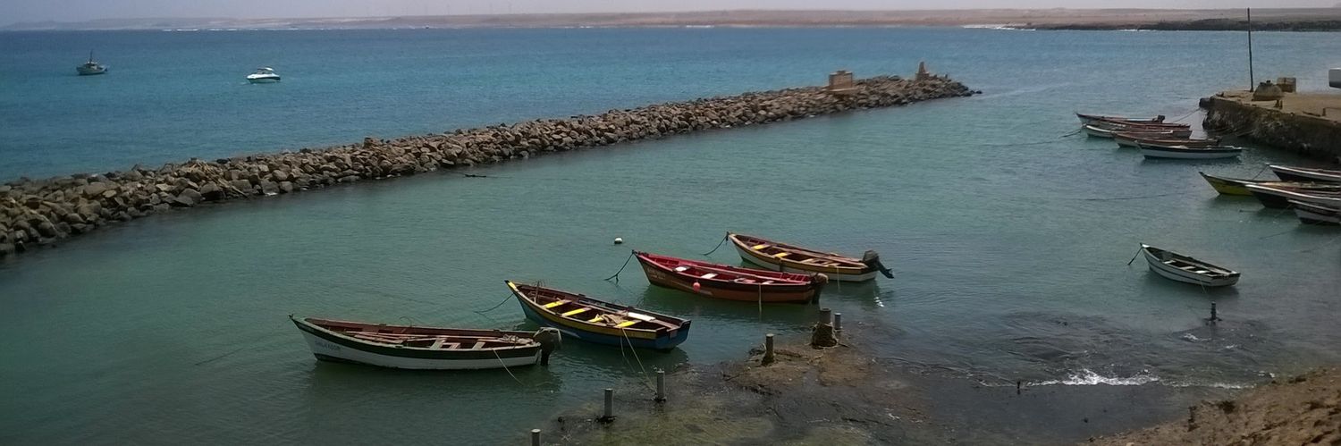 Panna Mun 🦉🐈🐑🐐 banner