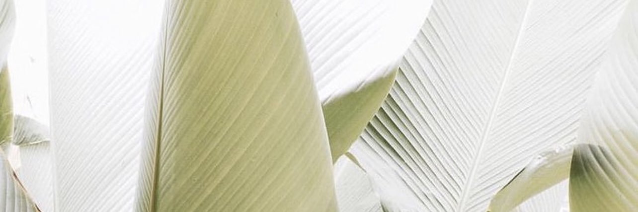 AliveIsCulture's profile banner image