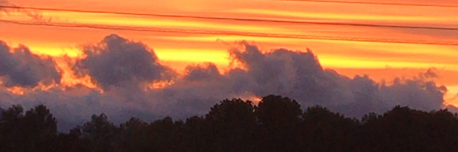 wolfrider1200's profile banner image