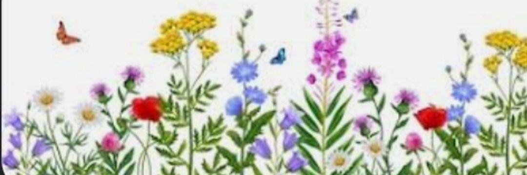 MissTiffanyJF's profile banner image