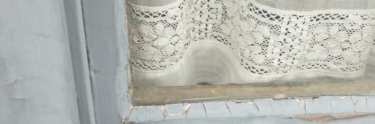 nina banner