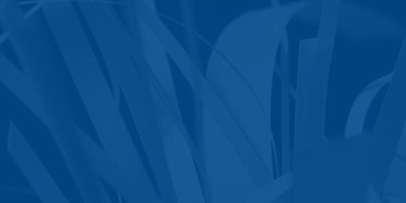 standardgrp's profile banner image