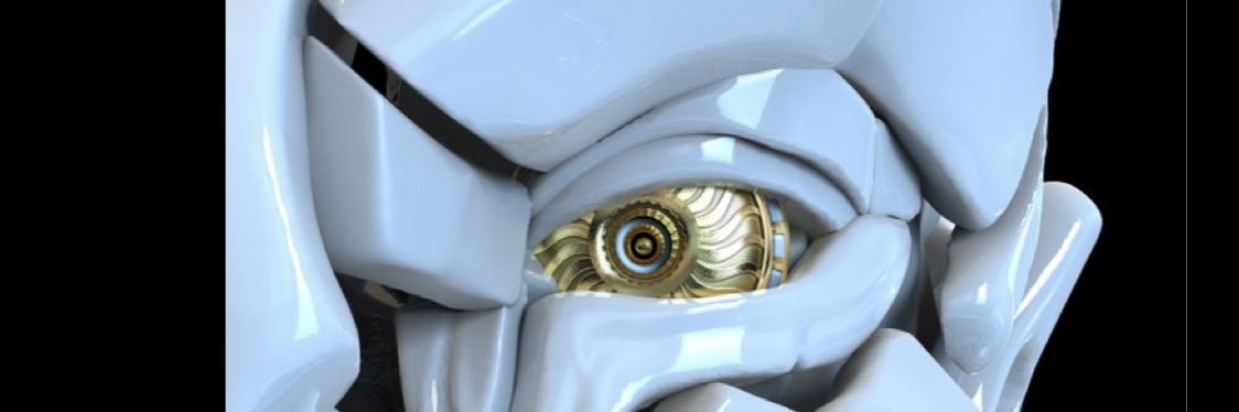 vertucci banner