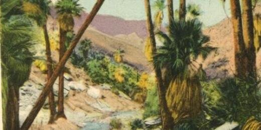 Houndstoothband's profile banner image