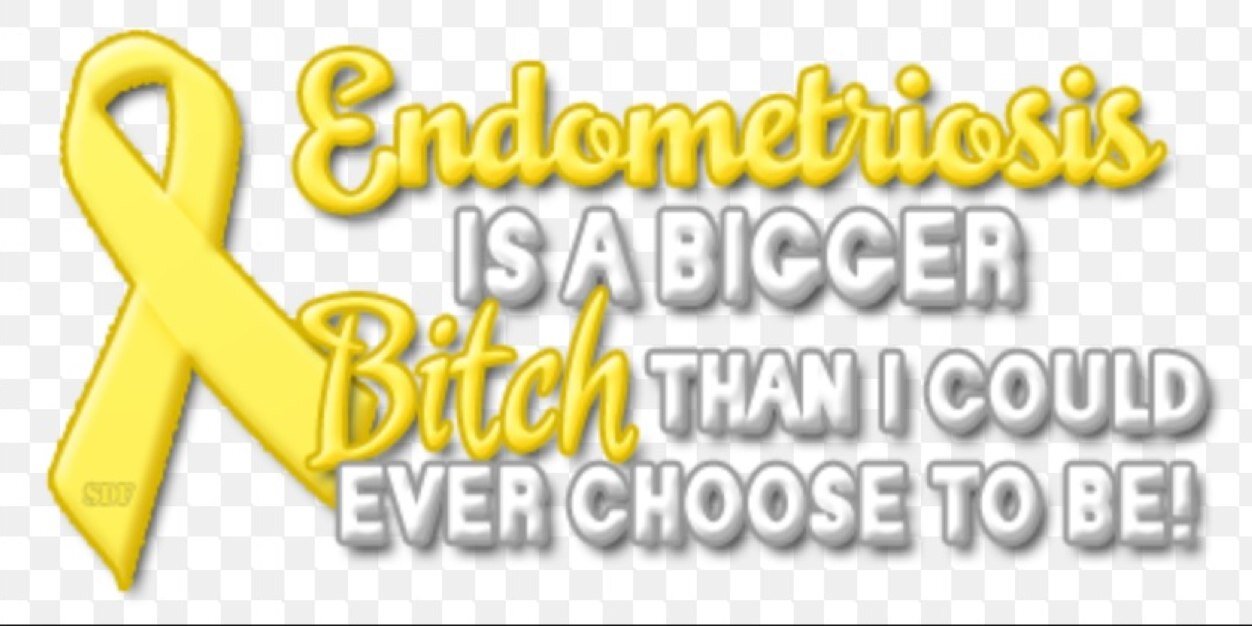 Endo Sister 🎗 banner