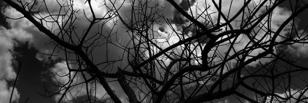 solglaciar's profile banner image