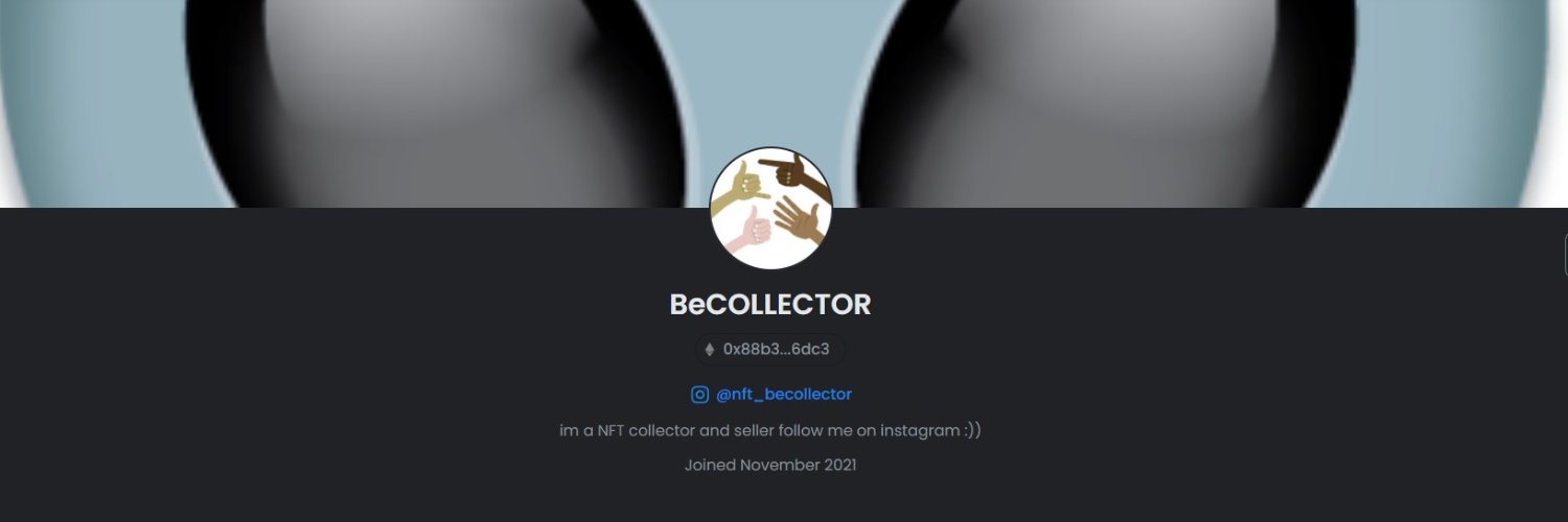 NBecollector's profile banner image