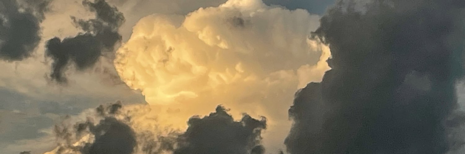 FinkWrites's profile banner image