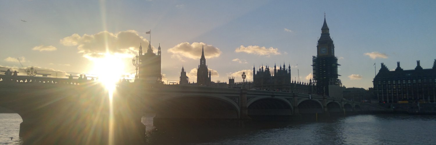 Alejandra Traslosheros banner