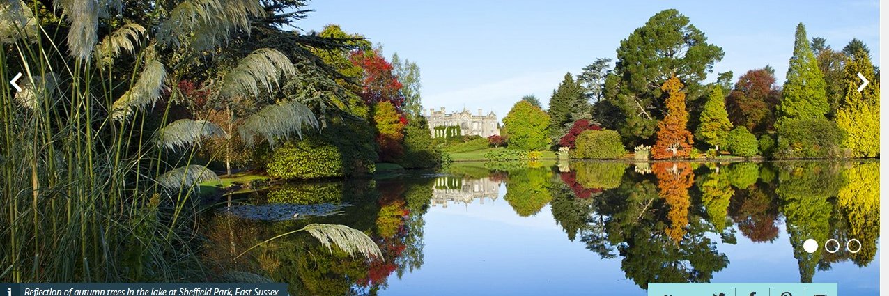 Nick JPThrough1 banner