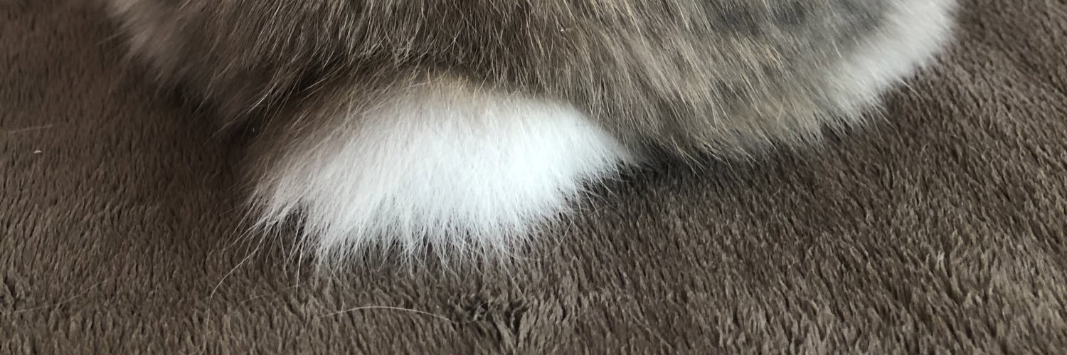 misalun's profile banner image