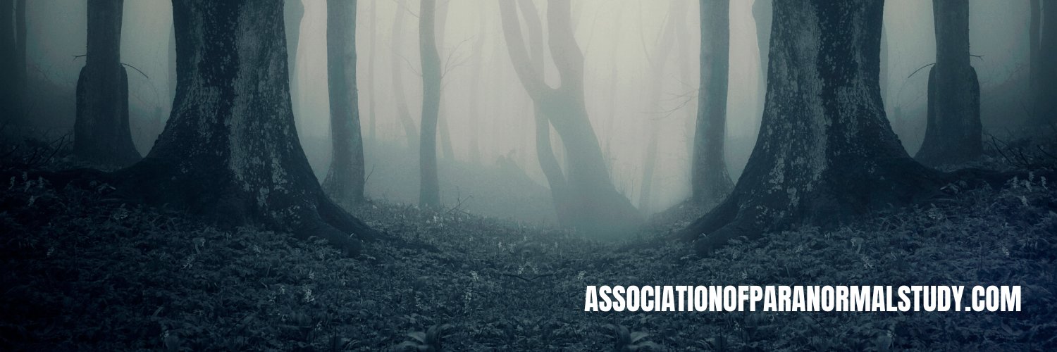 Association of Paranormal Study banner