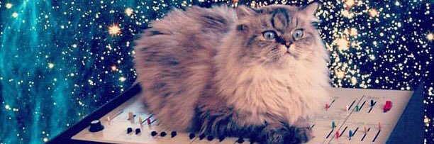rockyroxana's profile banner image