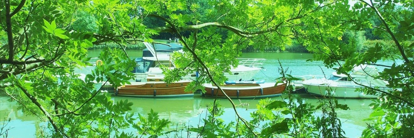 Charlotte Domanski banner