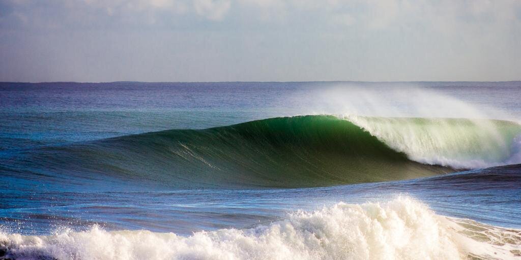 SASS Global Travel banner