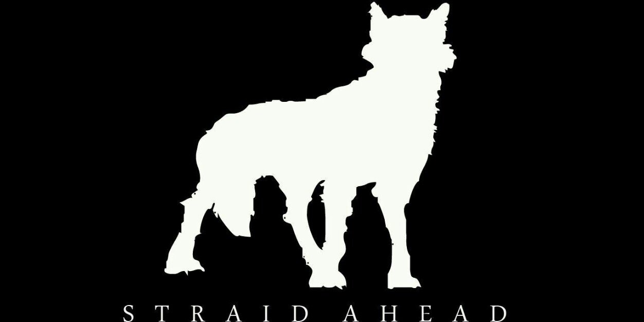 STRAID AHEAD  banner