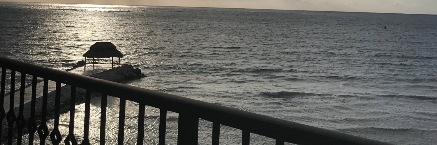 KimEllis's profile banner image