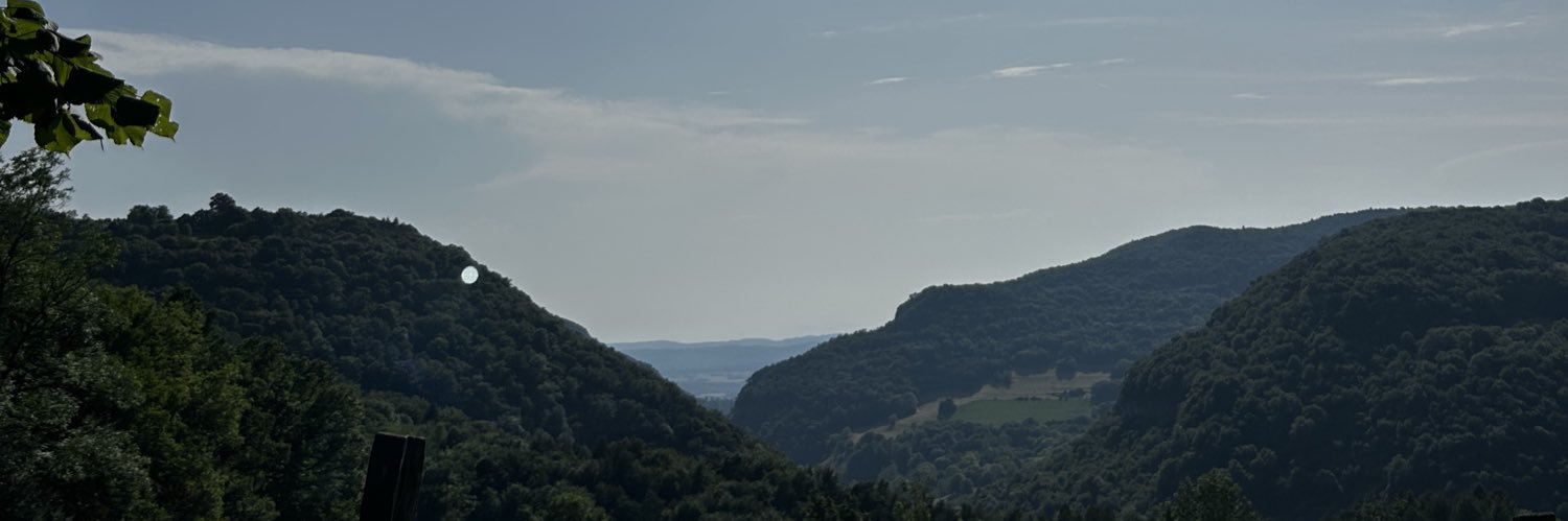 RiimeeB's profile banner image
