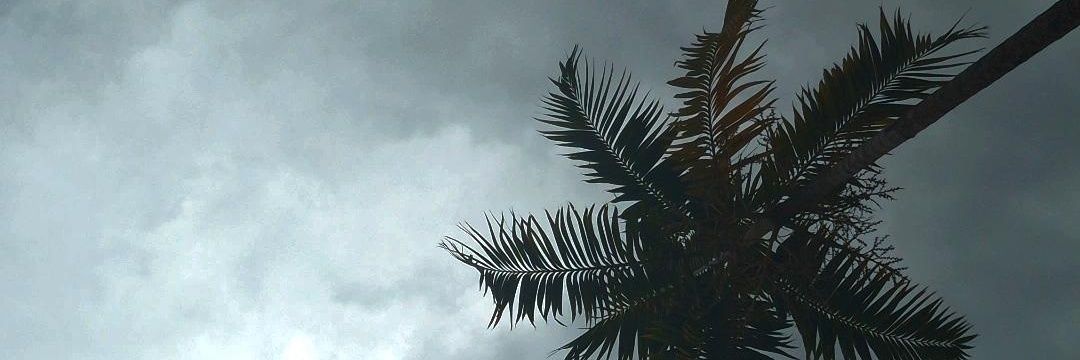 thenox_0's profile banner image