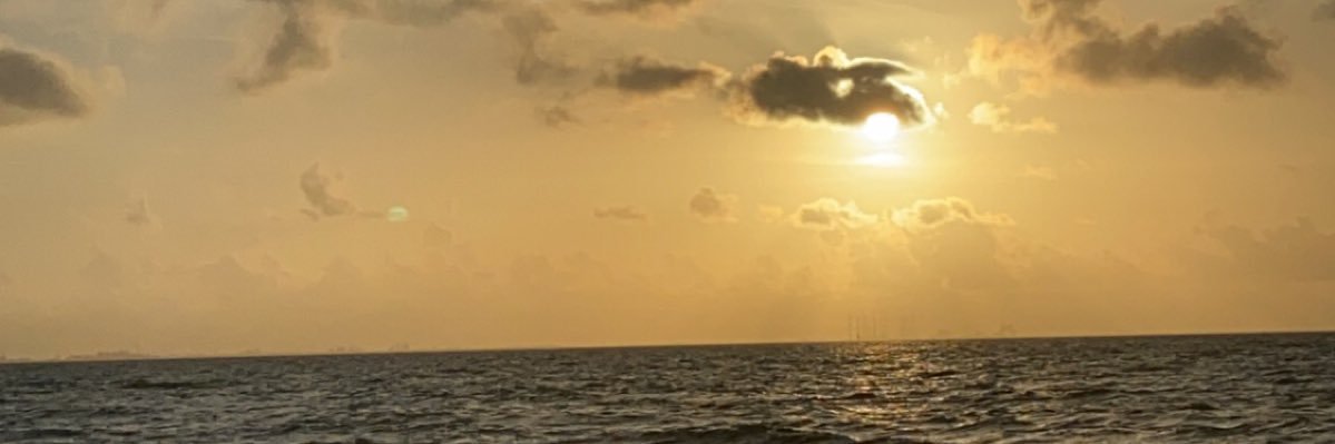 oh shit!!!🍉 banner
