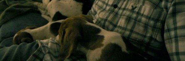 ev3n_stev3n Profile Banner