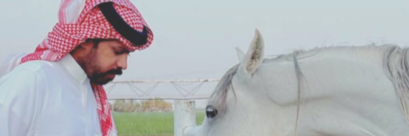 binsaudian's profile banner image