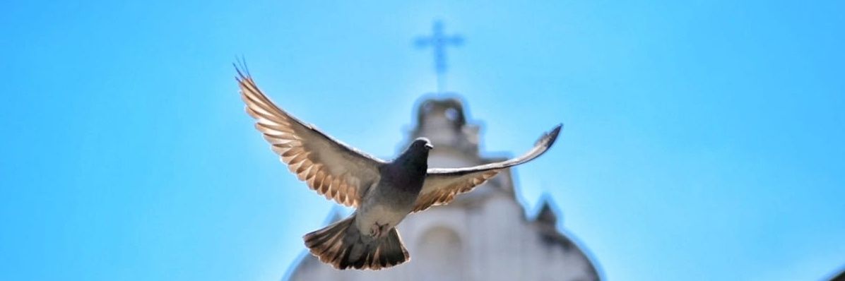 Iván C F banner