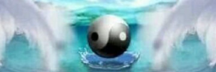 mtaniay's profile banner image