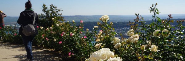 Cyn732 Profile Banner