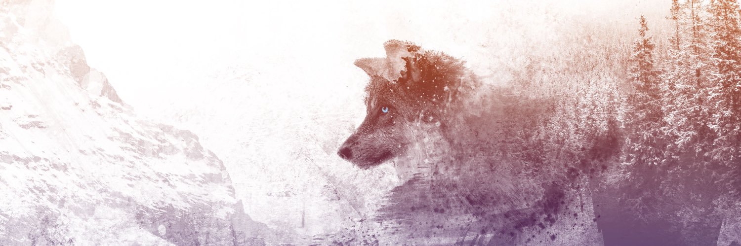 AlabsAmjad's profile banner image