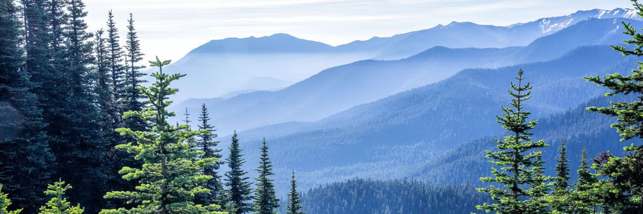 Washington State Mapper banner