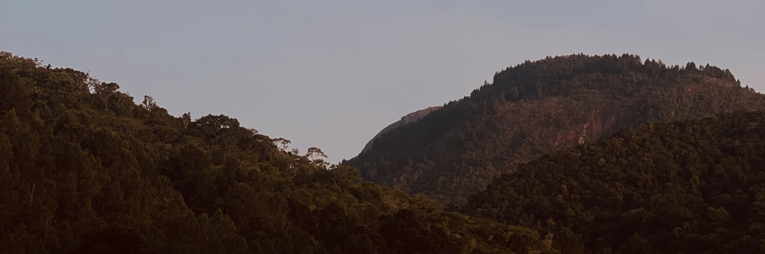 luizaidan's profile banner image