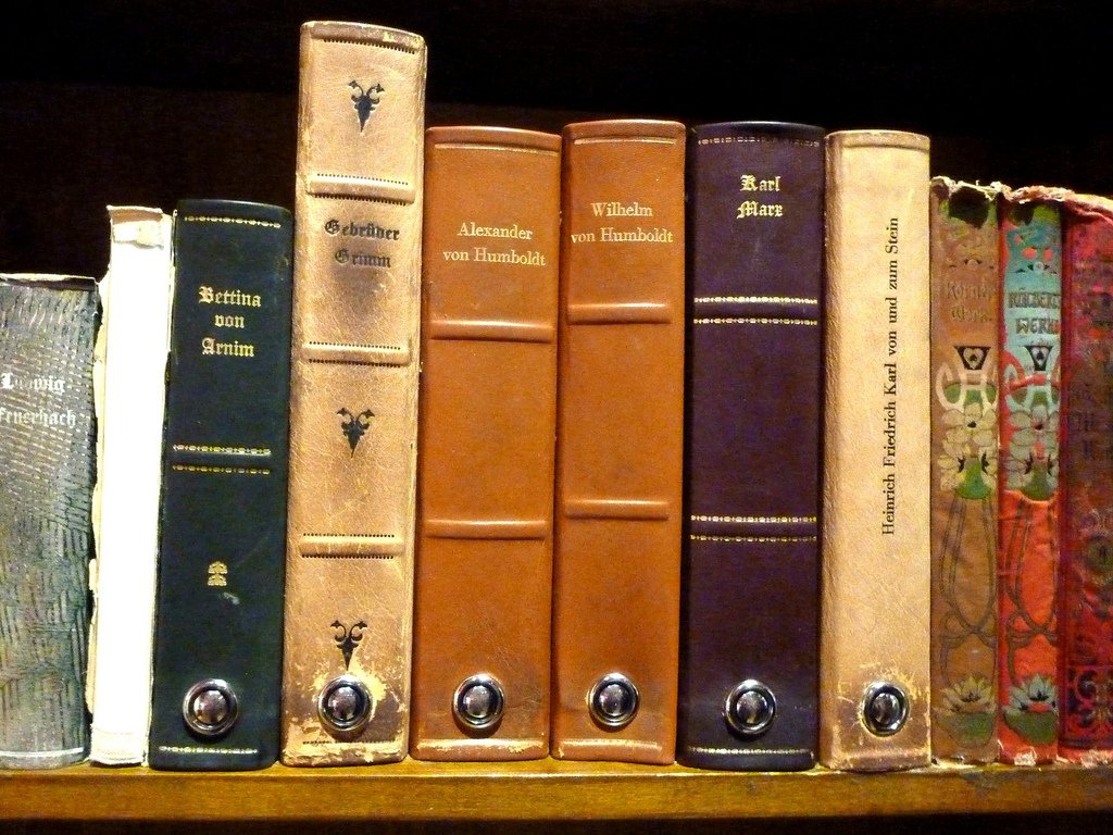 Ulyaaanka's profile banner image