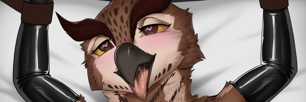 Owl_After_Dark Profile Banner