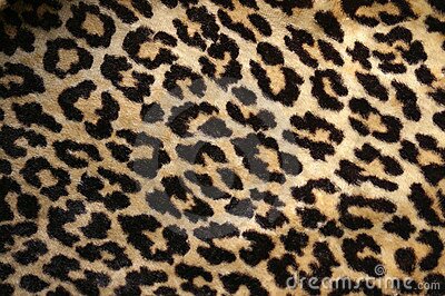 حواء بديع banner