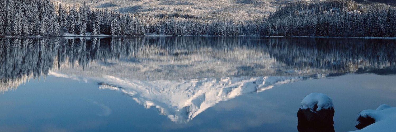 🇺🇦 Single 1 Studio | Game and Film Composer 🇺🇦 banner