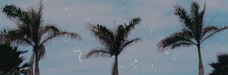 miley_teodoroo's profile banner image
